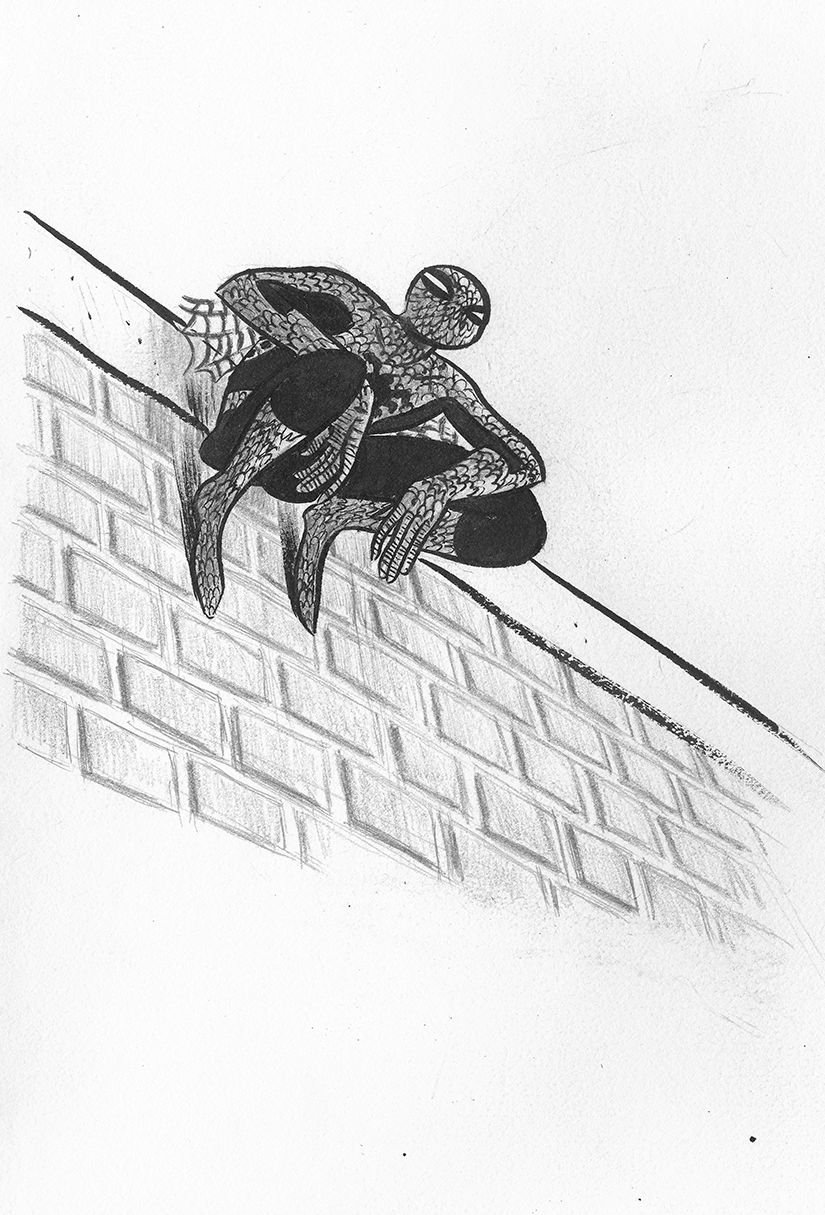 Spider-man sketch by Bruno Seelig